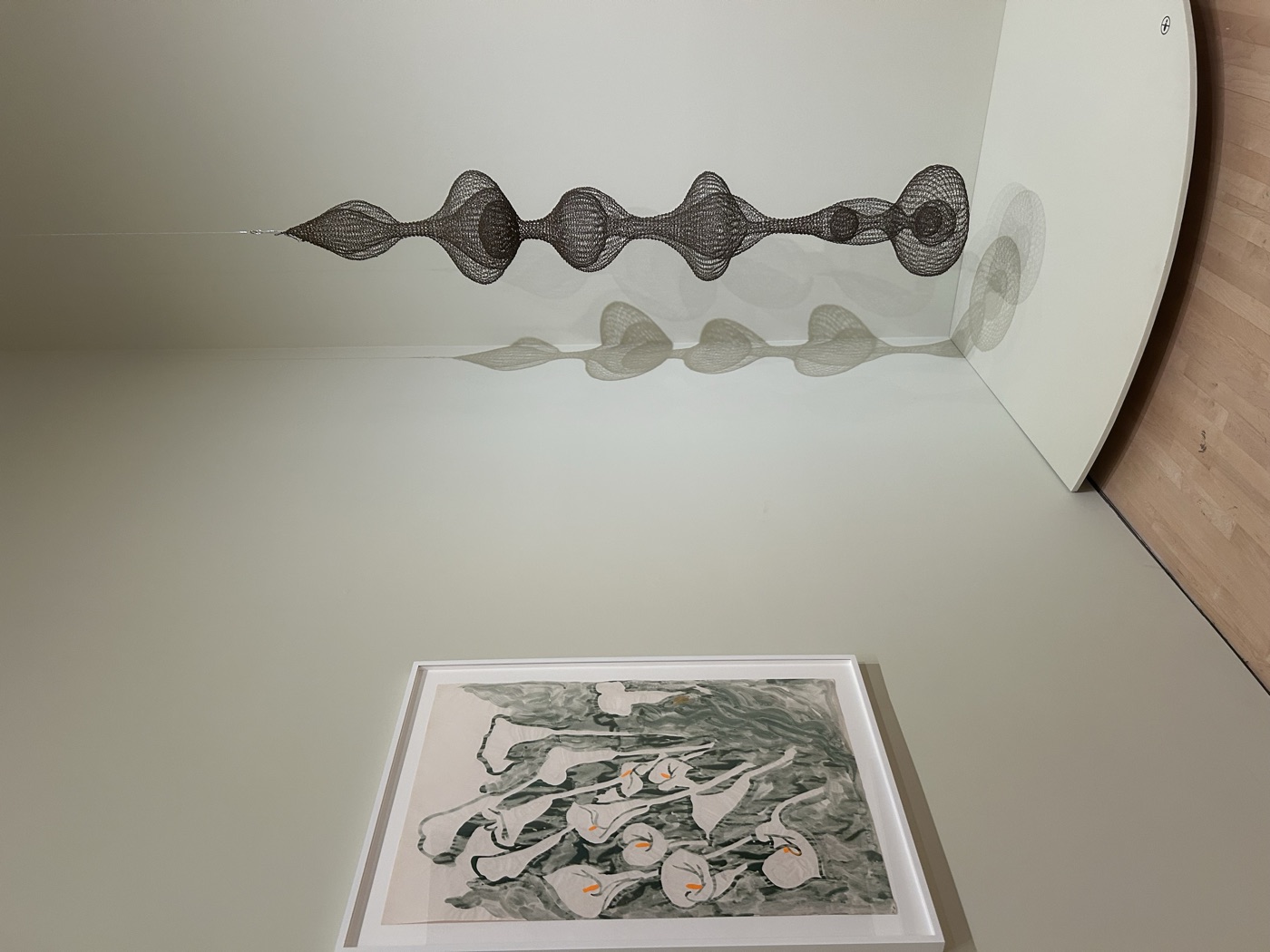 A Ruth Asawa wire sculpture hanging in a gallery corner